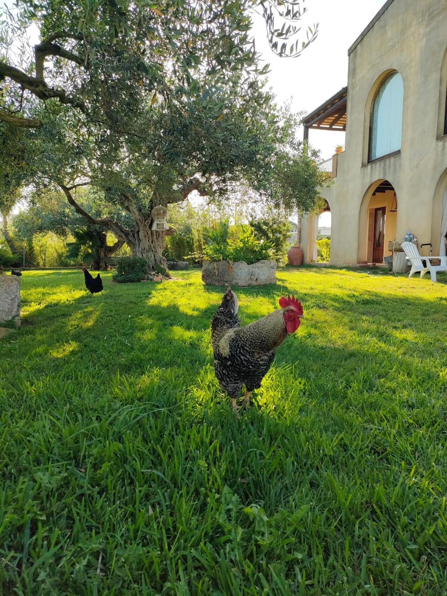 La Finestra Sul Limone Bed & Breakfast Castelvetrano Eksteriør bilde